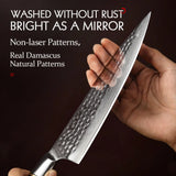 HEZHEN 8.3 Inches Chef Knife Power Steel Core 73 Layer Damascus Steel Kitchen Tools For Maet Cooking Knives Beautiful Gift Box