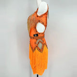 Adult Professional Latin Dance Dress 2025 New Design Latin Dancing Skirt Women Competition Tango Rumba Samba Chacha Latin Skirt