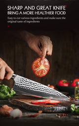 HEZHEN 8.3 Inches Chef Knife Power Steel Core 73 Layer Damascus Steel Kitchen Tools For Maet Cooking Knives Beautiful Gift Box