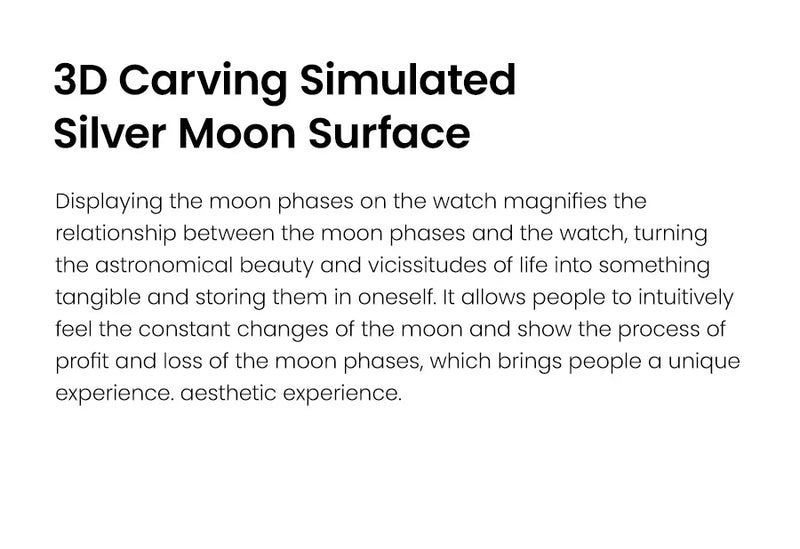 AGELOCER Original Astronomer Watch Men's Luxury Watch Automatic Mechanical 29.51-day Moon Phase Watch Birthday Gift for Men