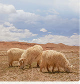 Double-sided cashmere autumn winter men's coat beige V-neck wool new fashion coat loose plus size fat 3XL 100KG warm soft wear