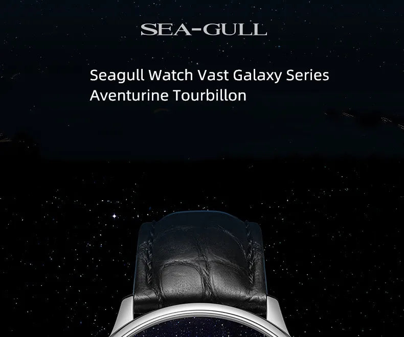 Seagull Tourbillon Men Watch ST8230 Manual Mechanical Vintage Skeleton Wristwatch Elegant Crocodile Strap Relogio Masculion 6144