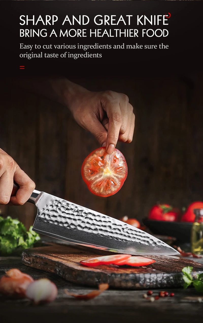 HEZHEN 8.3 Inches Chef Knife Power Steel Core 73 Layer Damascus Steel Kitchen Tools For Maet Cooking Knives Beautiful Gift Box
